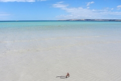beach-accommodation-ki-kangaroo-island-star-beachfront-group-holiday-house_gallery8