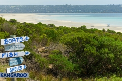 Kangaroo-Island-star-outdoor-gallery-1